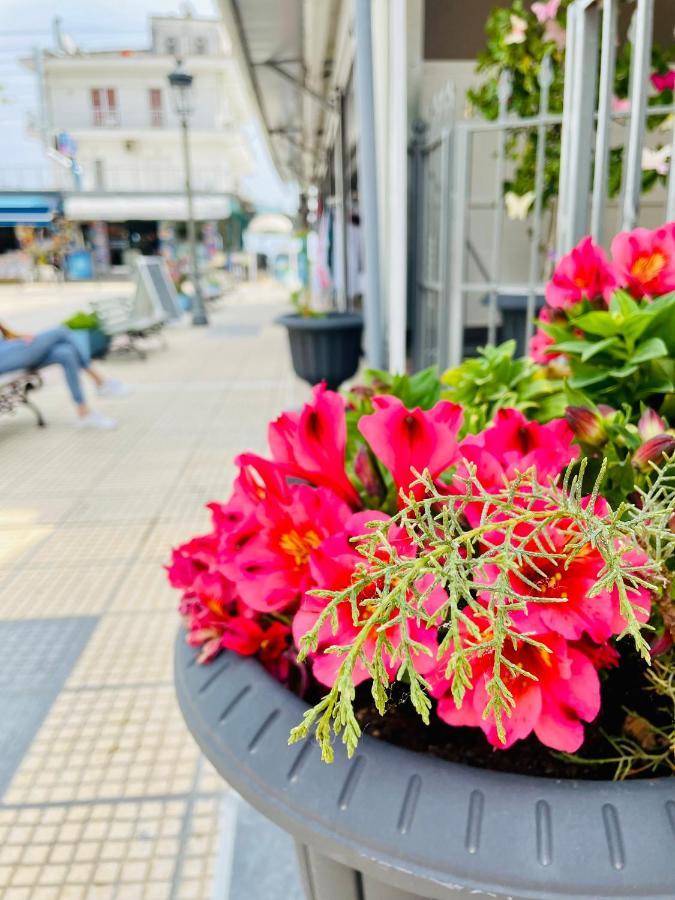 Paralía Nisel Seaside 아파트 외부 사진